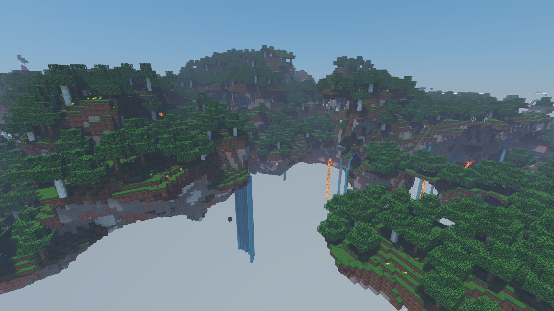 forest.jpg