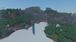 forest.jpg